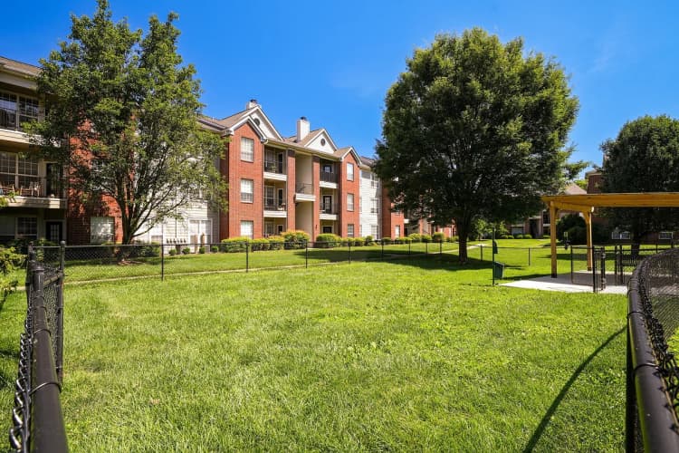 Louisville apartments for rent - image - Oxmoor_2026_DogPark