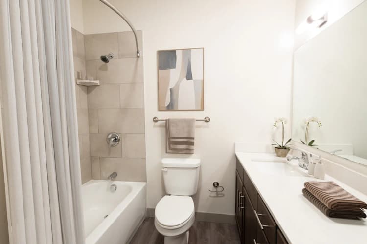 Louisville apartments for rent - image - The Beck II