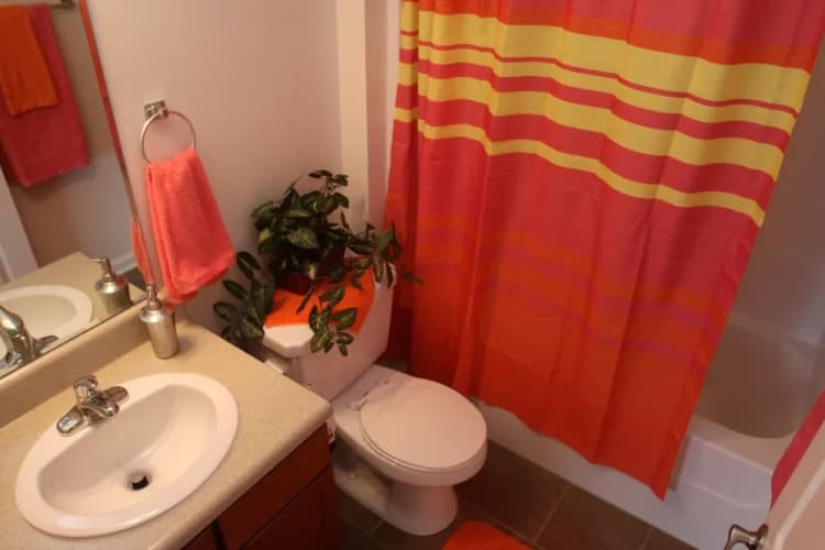 Louisville apartments for rent - image - imgi_120_Bathroom_zbj5d4_gnk5ra.webp