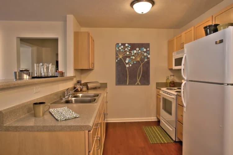 Louisville apartments for rent - image - imgi_39_LDG_Overlook_Kitchen2_giegeg_euby2z.webp