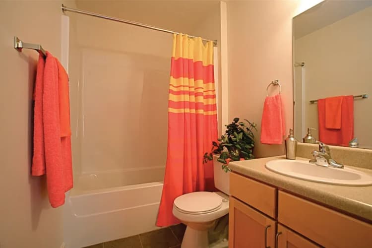 Louisville apartments for rent - image - imgi_15_LDG_Overlook_BathRoom1_jjdzbq_khn8hk.webp