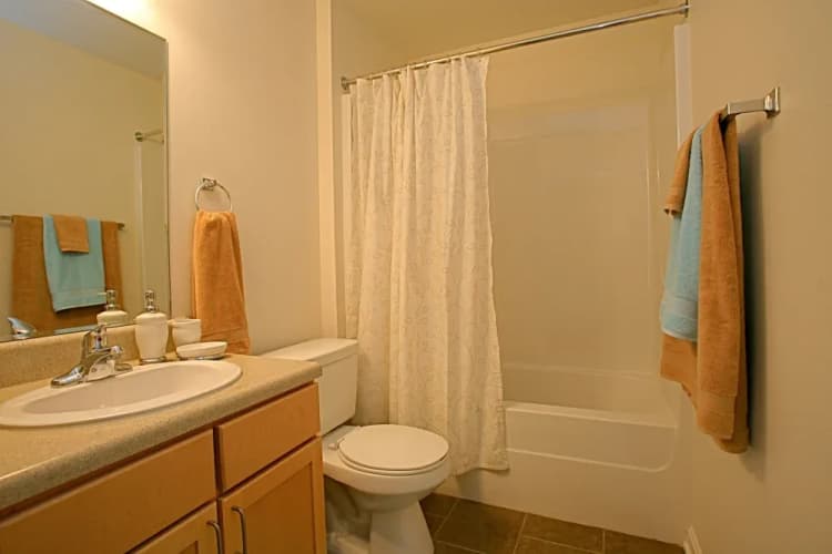 Louisville apartments for rent - image - imgi_14_LDG_Overlook_BathRoom2_z6wopj_qjoxno.webp