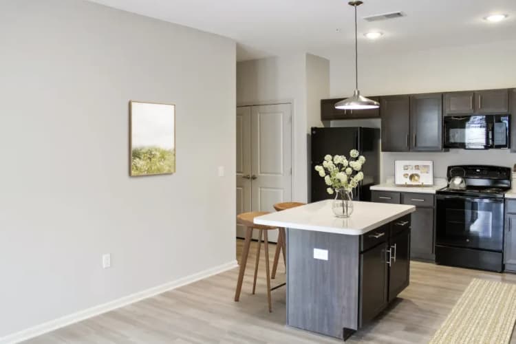 Louisville apartments for rent - image - imgi_32_20230321_014406000_iOS_1_makazs_putvv9.webp