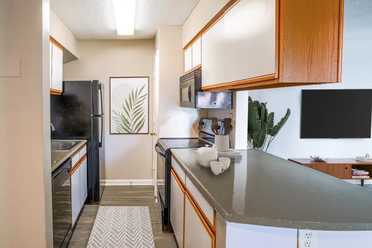 Louisville apartments for rent - image - Bright Kitchen