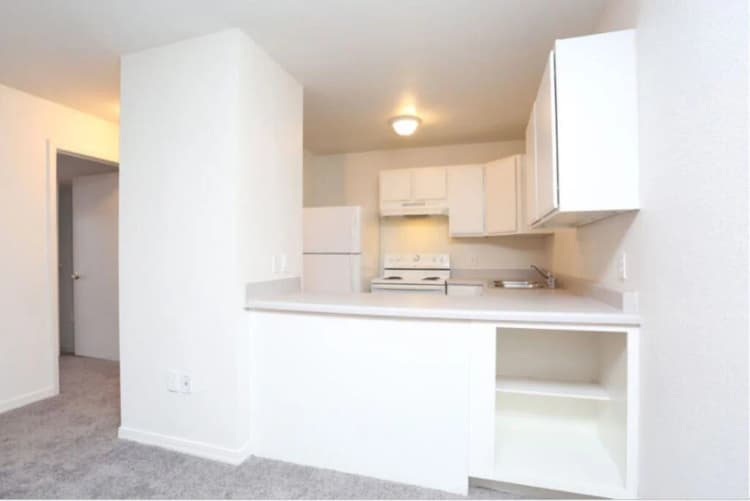 Louisville apartments for rent - image - 148732704.jpg