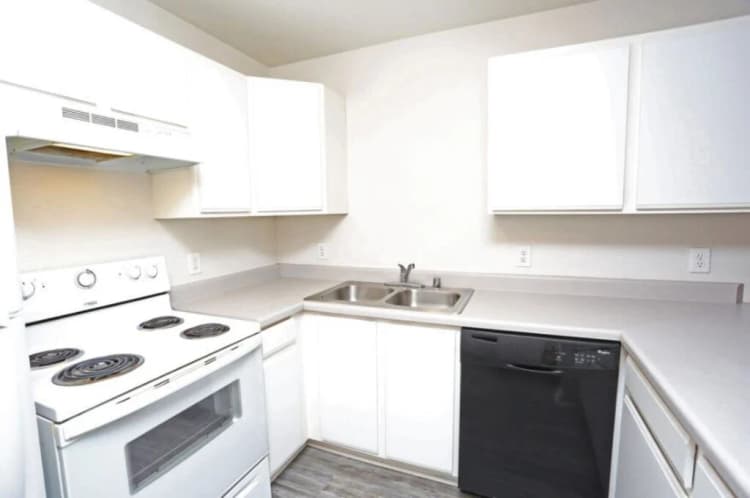 Louisville apartments for rent - image - 148732712.jpg