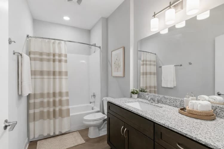 Louisville apartments for rent - image - 176803257.png