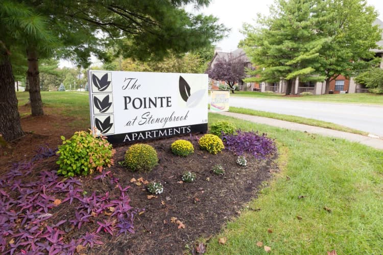 Louisville apartments for rent - image - 148731264.jpg