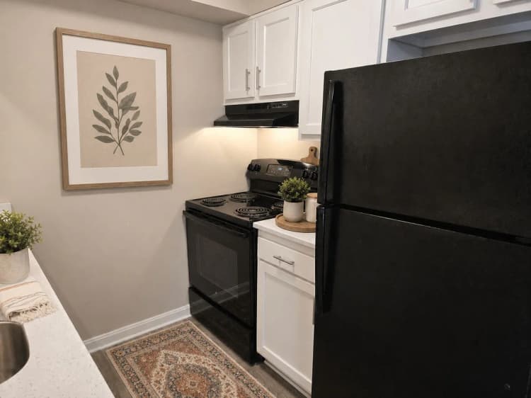 Louisville apartments for rent - image - yardi_image_1789454784759_5_34752287