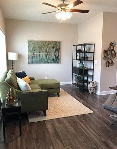 Louisville apartments for rent - image - Living Room
