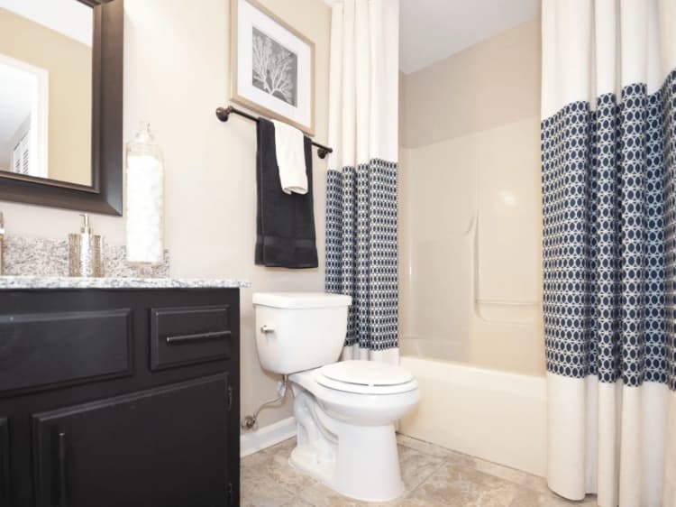 Louisville apartments for rent - image - yardi_image_1789454789086_20_22255970