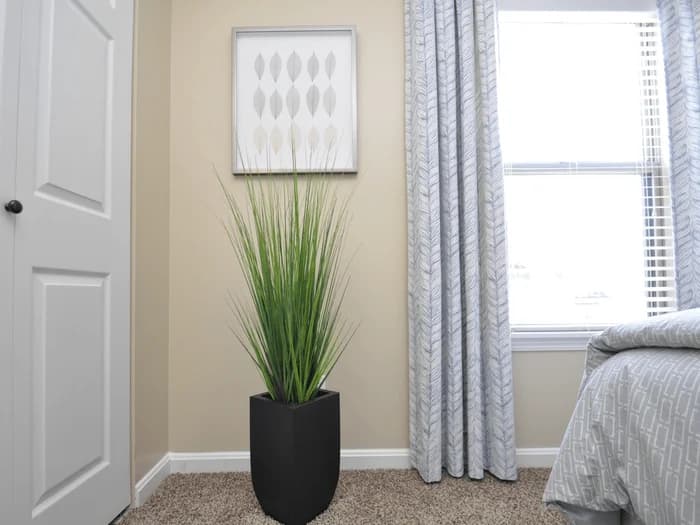 Louisville apartments for rent - image - yardi_image_1789454789086_15_22255997