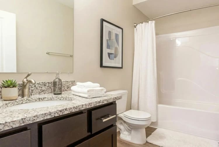 Louisville apartments for rent - image - yardi_image_1789454791001_8_32524273