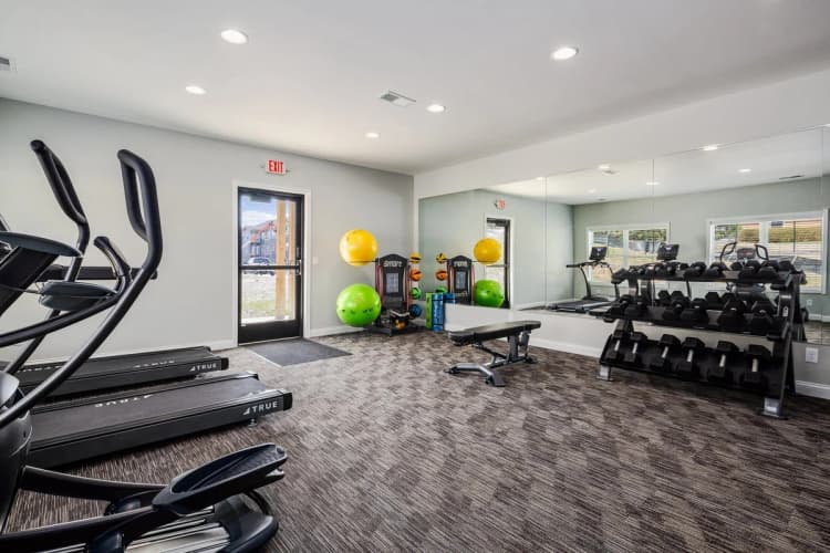 Louisville apartments for rent - image - yardi_image_1789454812339_3_33519063