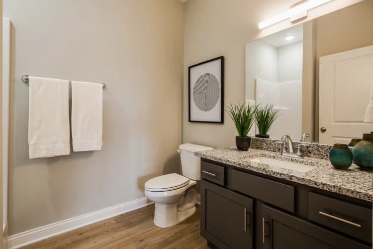 Louisville apartments for rent - image - yardi_image_1789454812339_14_33519074