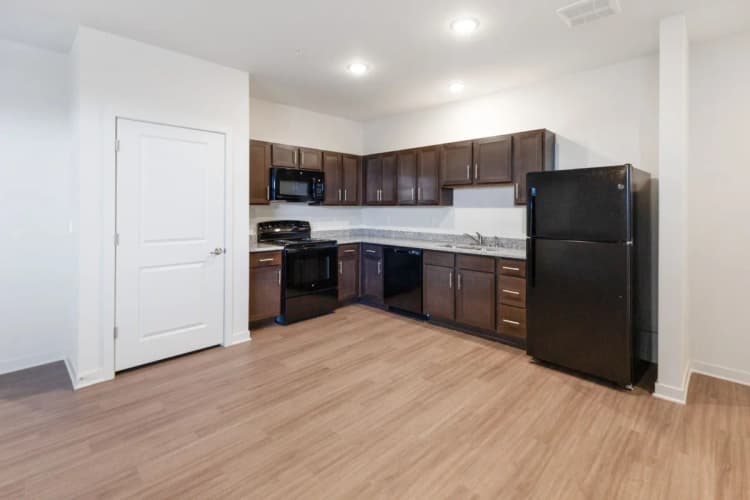 Louisville apartments for rent - image - imgi_17_The-Eclipse-in-Russell-2BR-Kitchen-2.webp
