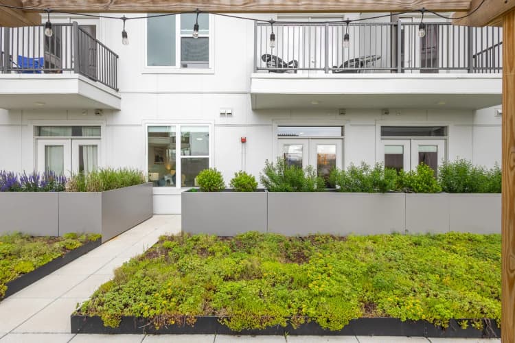 Louisville apartments for rent - image - Courtyard with green roof and planter boxes