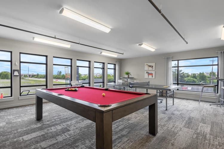 Louisville apartments for rent - image - 20104715