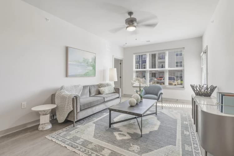 Louisville apartments for rent - image - Living Room
