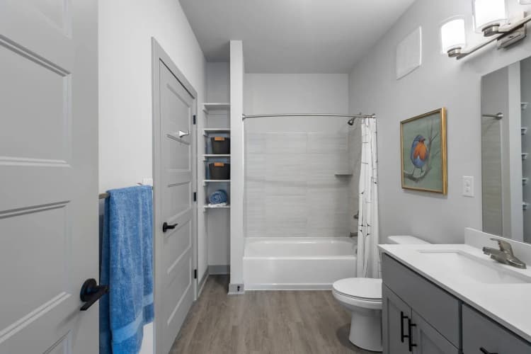 Louisville apartments for rent - image - Bath