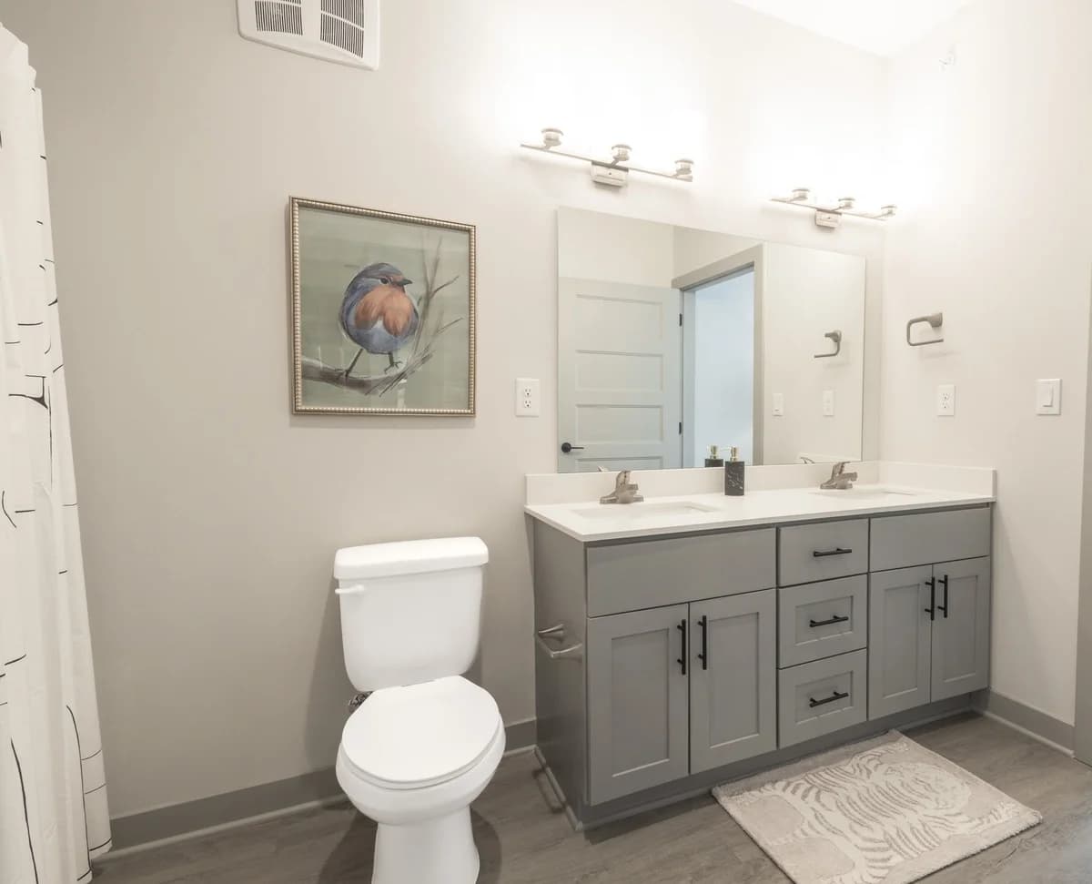 Louisville apartments for rent - image - 2 Bed, 2 Bath