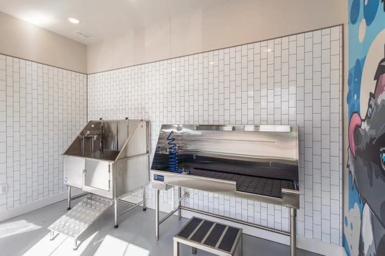 Louisville apartments for rent - image - Pet Spa area