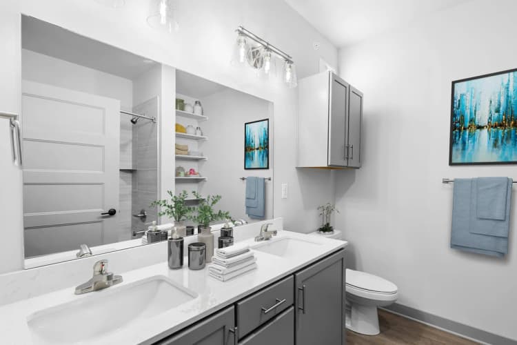 Louisville apartments for rent - image - Bathroom vanity