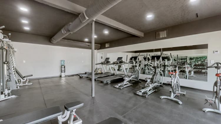 Louisville apartments for rent - image - 16501248