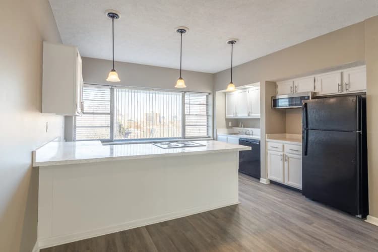 Louisville apartments for rent - image - 2 Bedroom Penthouse