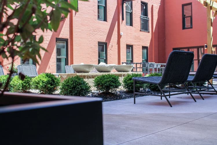 Louisville apartments for rent - image - 12915905