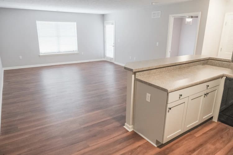Louisville apartments for rent - image - The view from the kitchen to the living room and access to the patio