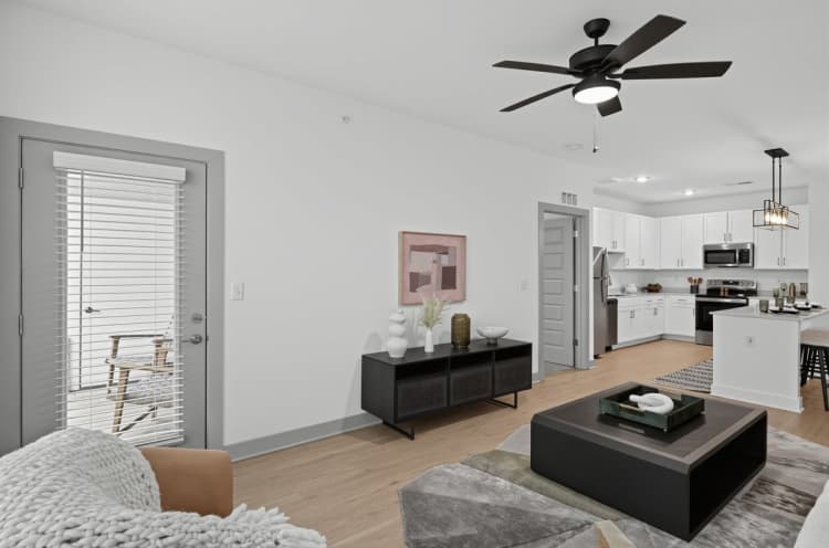 Louisville apartments for rent - image - 30250340