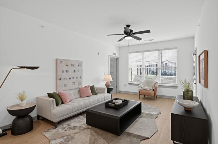 Louisville apartments for rent - image - 30250331