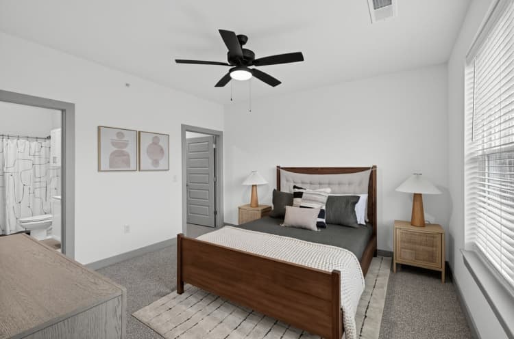 Louisville apartments for rent - image - 30250341