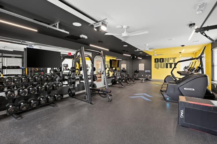 Louisville apartments for rent - image - 30250498
